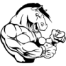 El_Caballo