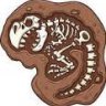 T-Bone