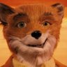 Mr. Fox