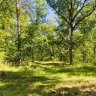 Naturbursche