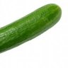 DieGurke