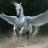 Pegasus