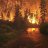 Feuer97