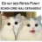 Chuckvonnorris
