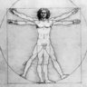 Anatomische Details: Spermatogenese und Ejakulation
